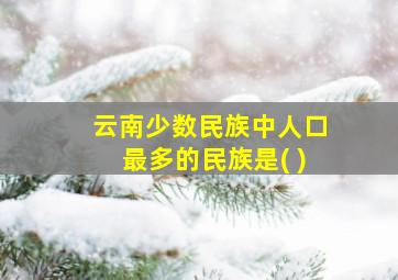 云南少数民族中人口最多的民族是( )